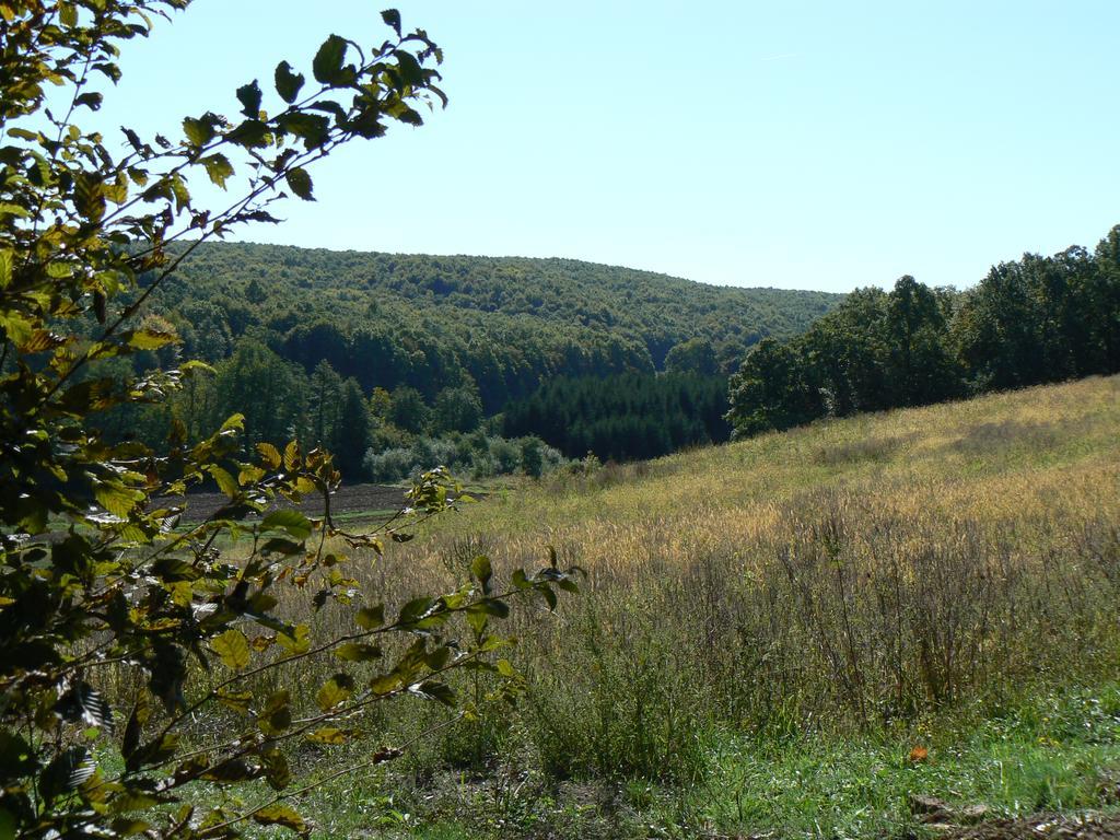 Seona Country House Stoljetna Vila מראה חיצוני תמונה