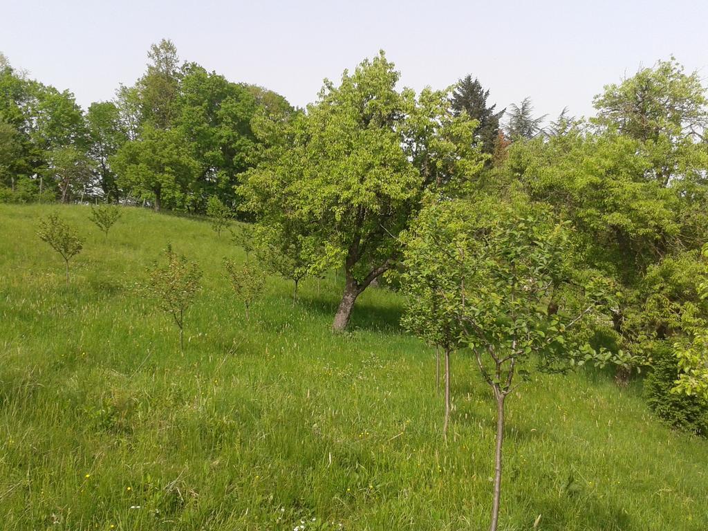 Seona Country House Stoljetna Vila מראה חיצוני תמונה