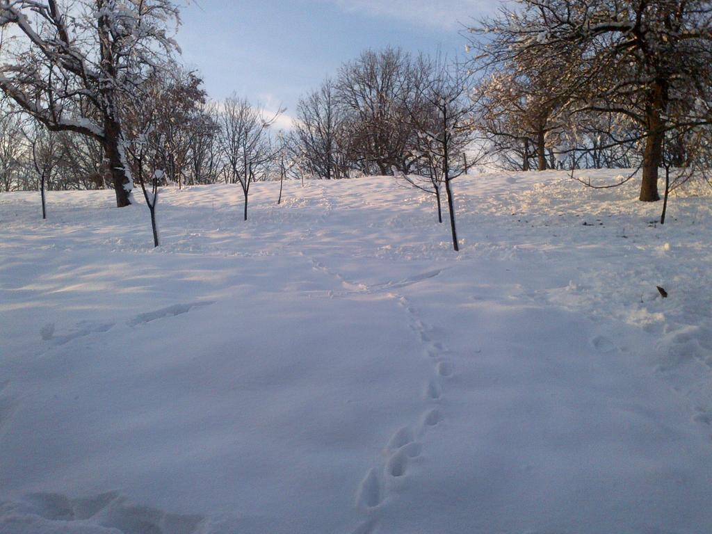 Seona Country House Stoljetna Vila מראה חיצוני תמונה
